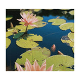 Lotus Pond | Landscape (Print Only) thumbnail