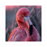 Pink Flamingo Bird Close Up Portrait (Print Only) thumbnail