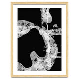 Black and White Abstract thumbnail