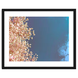 Leaves And Sky thumbnail