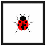 Lady Bug thumbnail