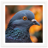 Close Up Of A Pigeon's Head And Neck thumbnail