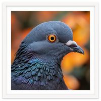 Close Up Of A Pigeon's Head And Neck
