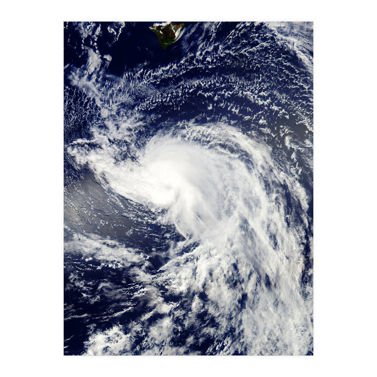 Sea Of Hearts (Print Only)