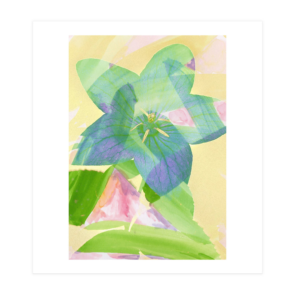 A Peaceful World (Print Only)