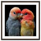 Two Lovebirds Nuzzle Together thumbnail
