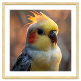 Cockatiel Parrot Portrait With Orange Cheeks thumbnail