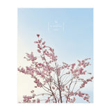 Sakura - cherry blossom (Print Only) thumbnail