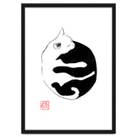 Ying yang Cat