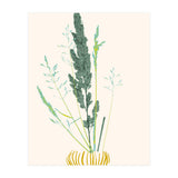 Plant based happyness Grasses 2 still life (Print Only) thumbnail