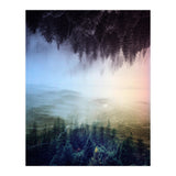 Magic Woods (Print Only) thumbnail