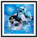 Orca thumbnail