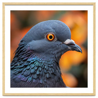 Close Up Of A Pigeon's Head And Neck