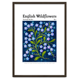 English Wildflowers | Forget-Me-Not thumbnail