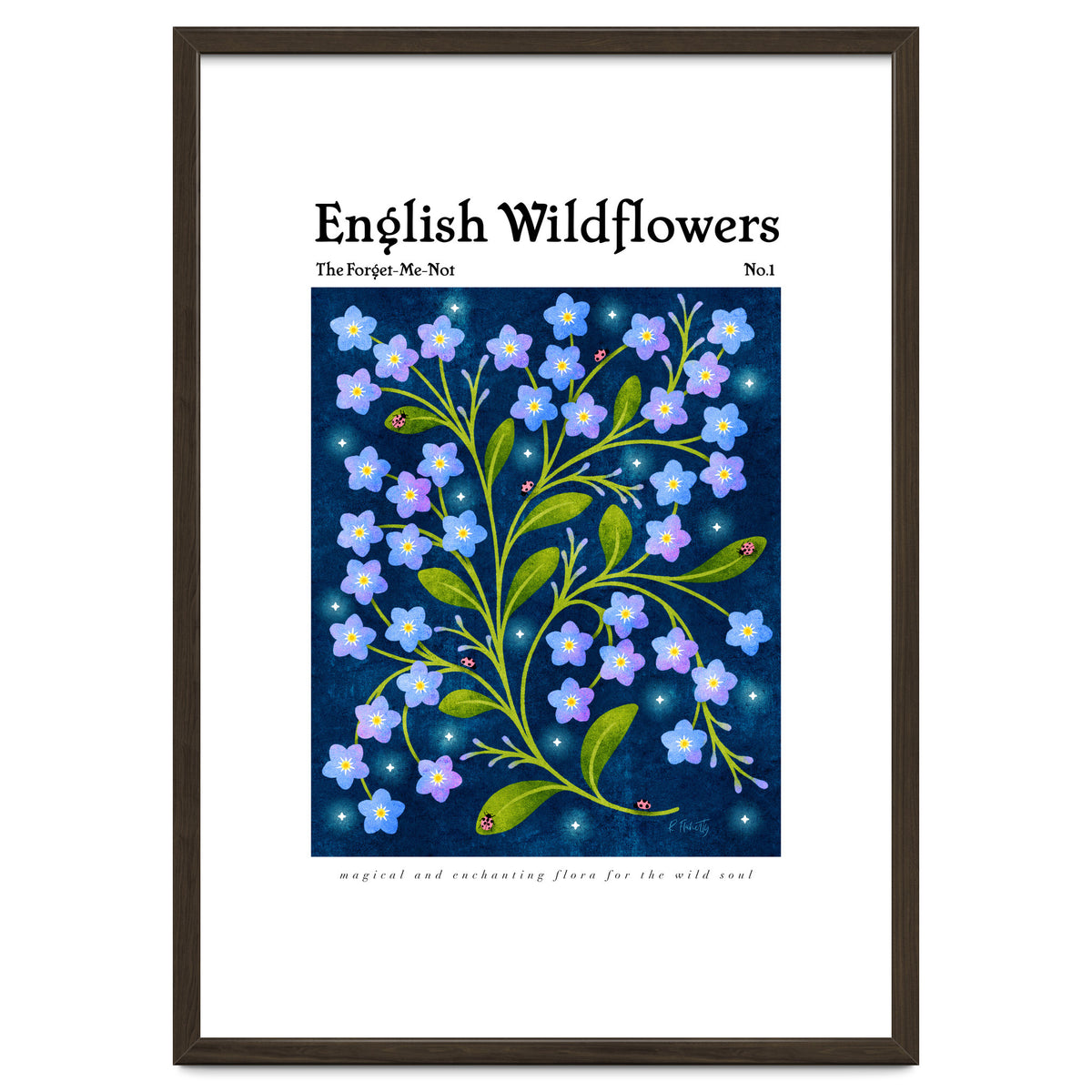 English Wildflowers | Forget-Me-Not