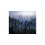 The Visionary Echo (Print Only) thumbnail