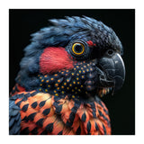 Close Up Portrait Of A Colorful Exotic Parrot (Print Only) thumbnail
