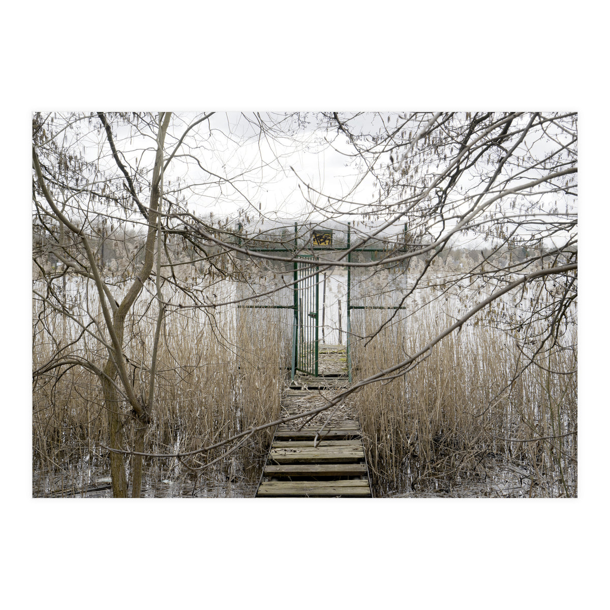 The gate to the lake (Print Only)