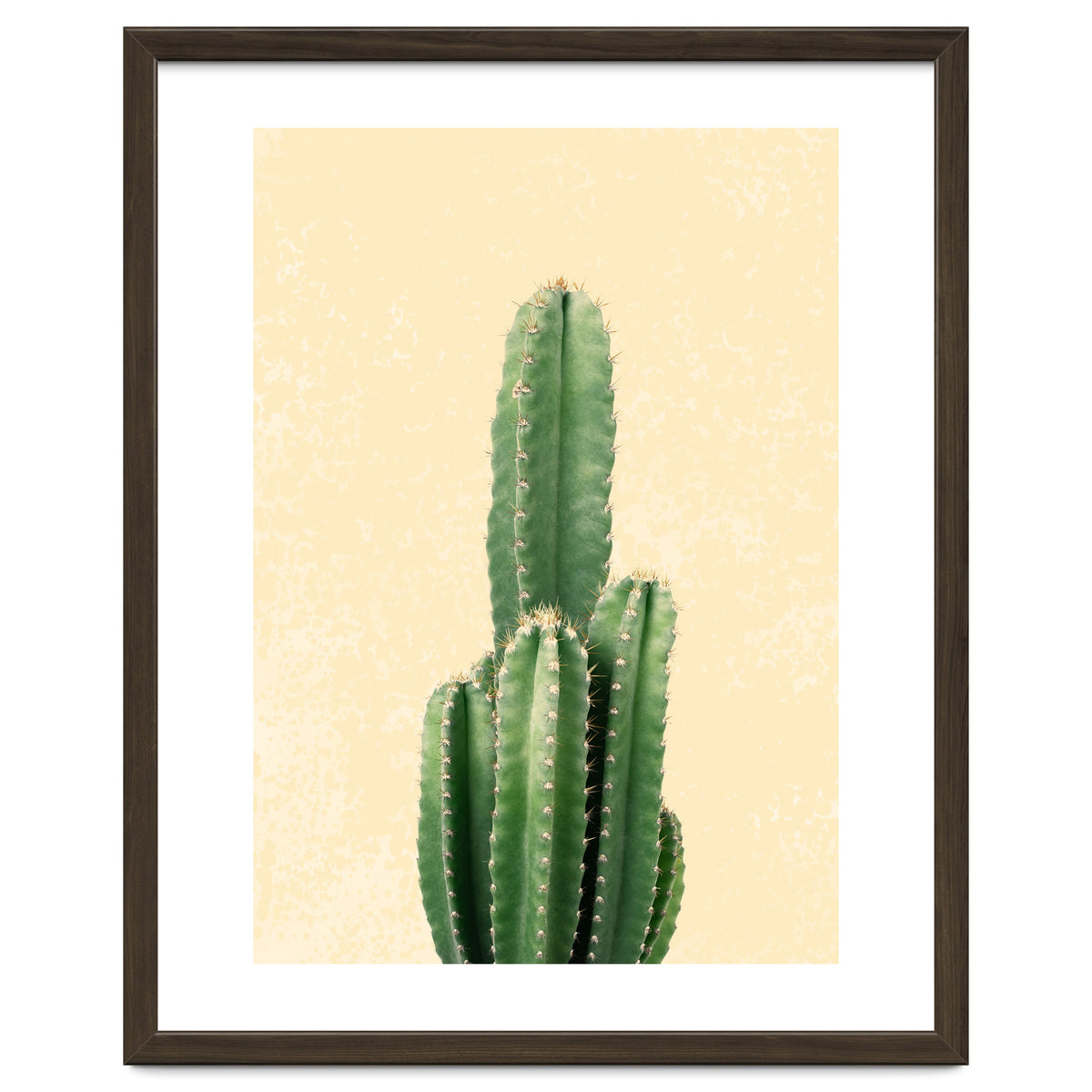 Tall Cactus, Minimal Desert Saguaro Art
