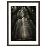 Enchanted Canopy: Mystical Forest Path thumbnail
