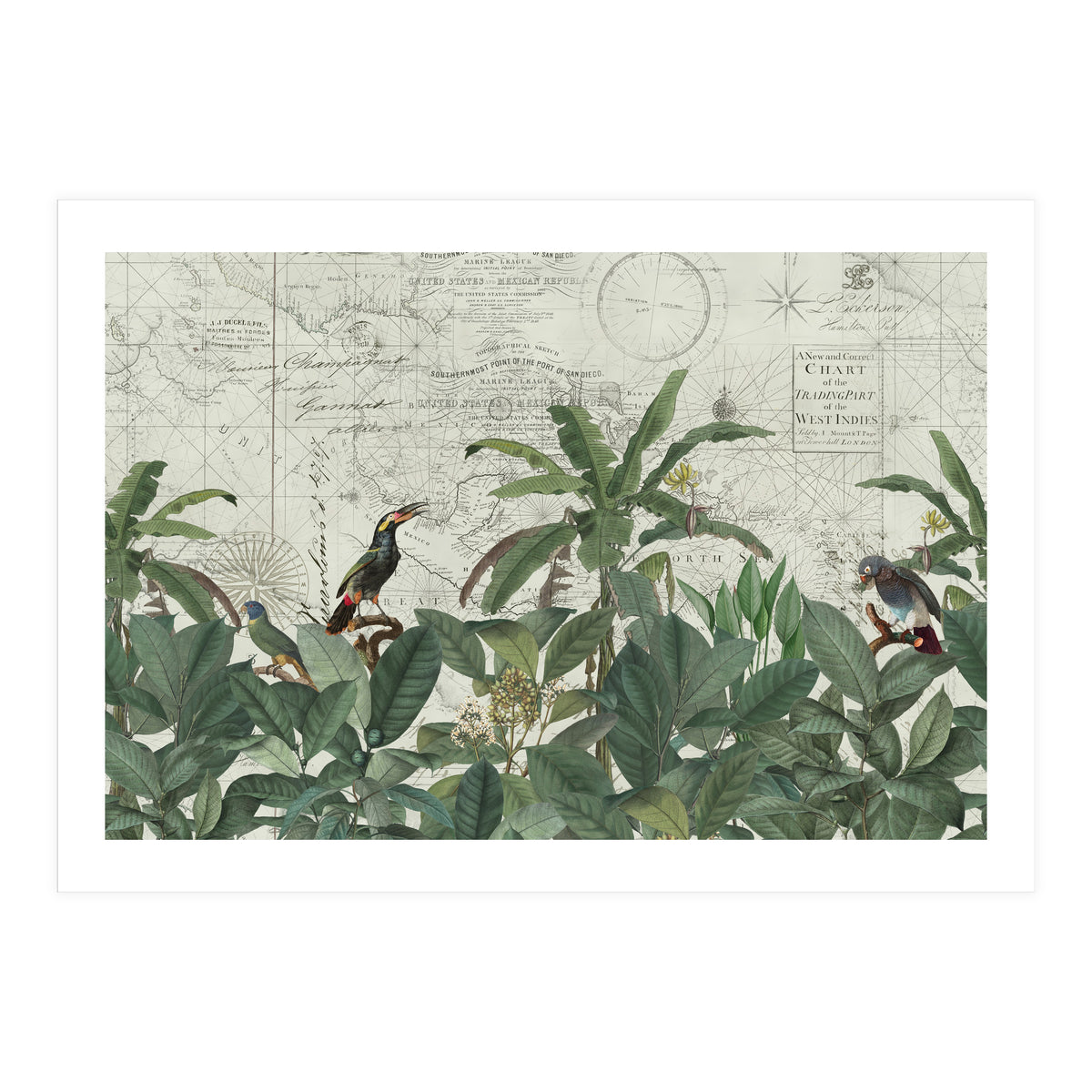 Explore The New World (Print Only)