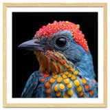Close Up Of Colorful Bird With Water Droplets thumbnail