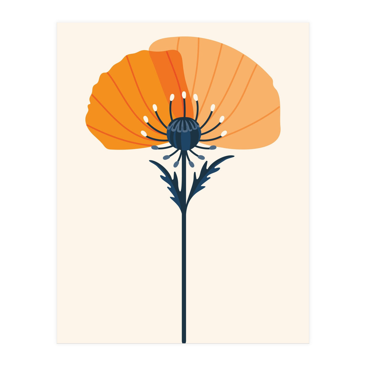 Orange Half Poppy (Print Only)