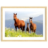 Three Horses thumbnail