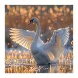 Swan Spreading Wings In Water Sunlight (Print Only) thumbnail