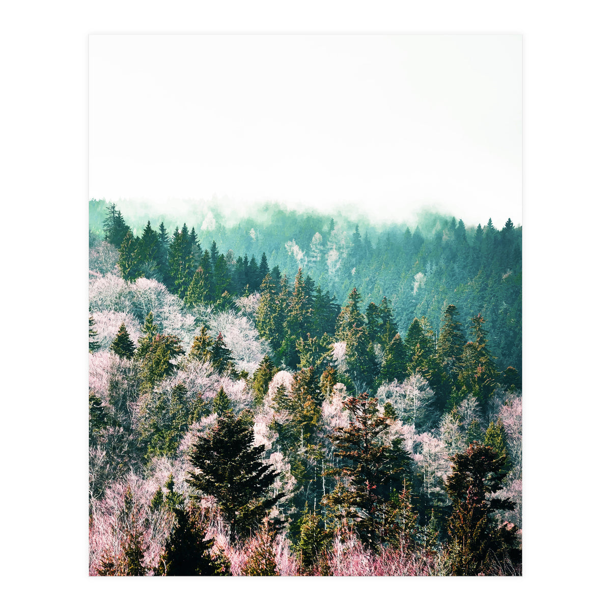 New Day #society6 #decor #buyart (Print Only)