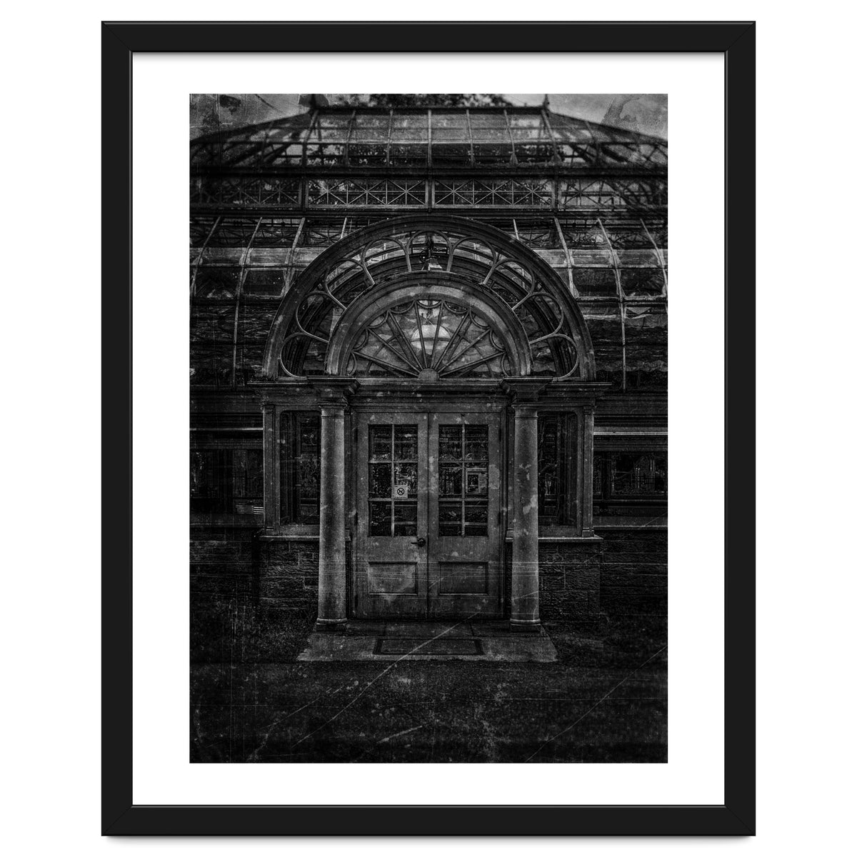 Allan Gardens Conservatory Palm House No 5 Old Film Version