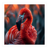 Vibrant Flamingo Close Up Portrait Outdoor Nature (Print Only) thumbnail