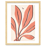 Ophelia Rosé thumbnail