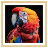 Scarlet Macaw Parrot Close Up Portrait Vivid Colors thumbnail