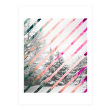 Snow Angel (Print Only) thumbnail