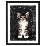 Bicolor Cute Kitten Portrait thumbnail