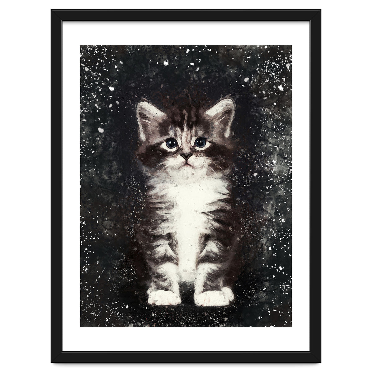 Bicolor Cute Kitten Portrait