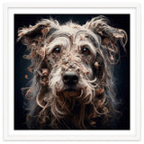 Old Dog 09 thumbnail