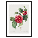 Pierre-Joseph Redouté – Finest Flowers and Fruits (1833) thumbnail