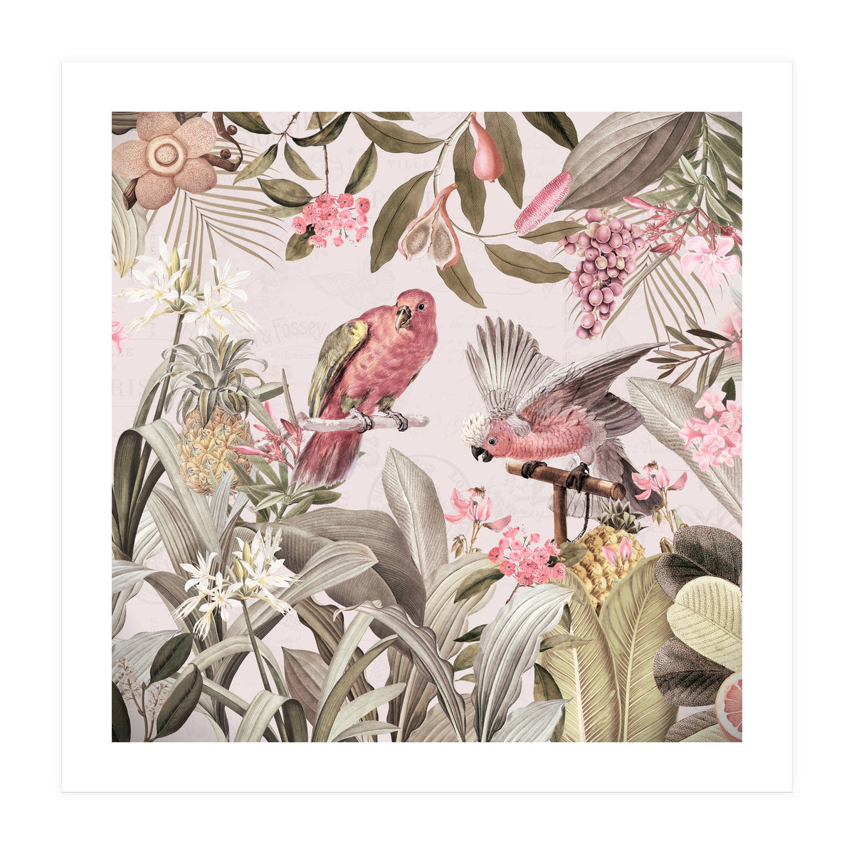 Colorful Parrots In Flower And Fruit Tropical Jungle (Print Only)