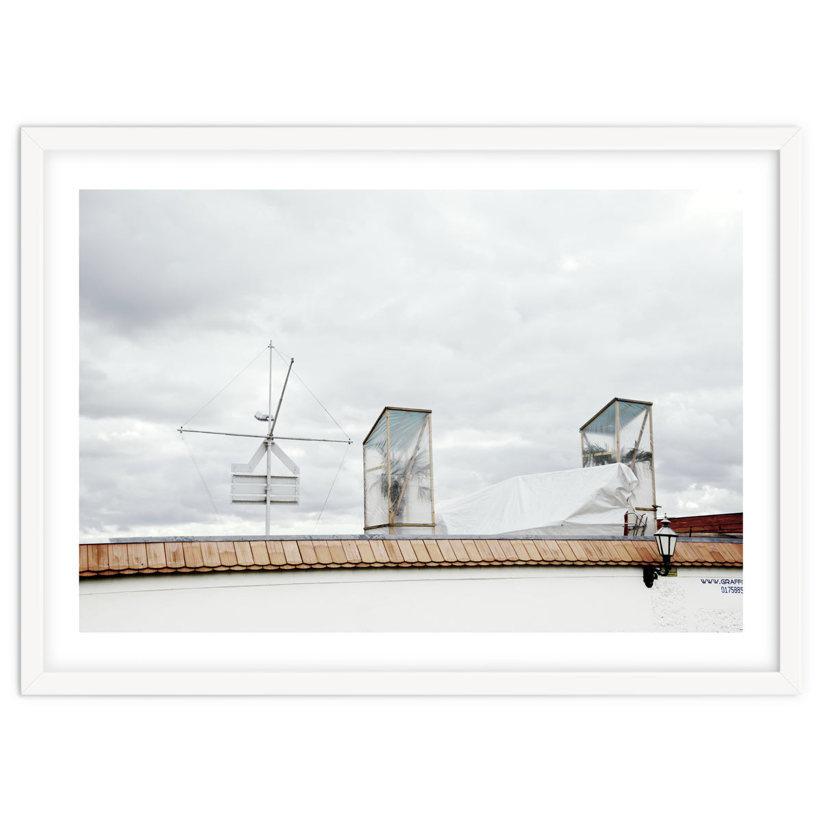 Palm tree waiting for summer