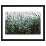 Photography - Summer Garden thumbnail