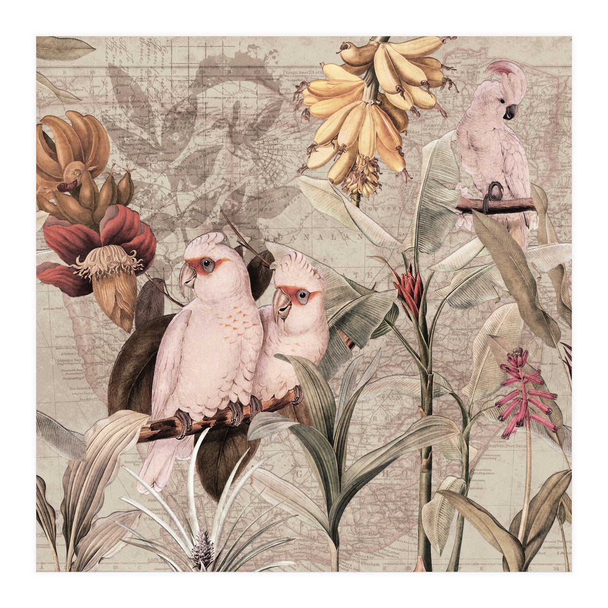 Cockatoo Exotic Bird Jungle  (Print Only)