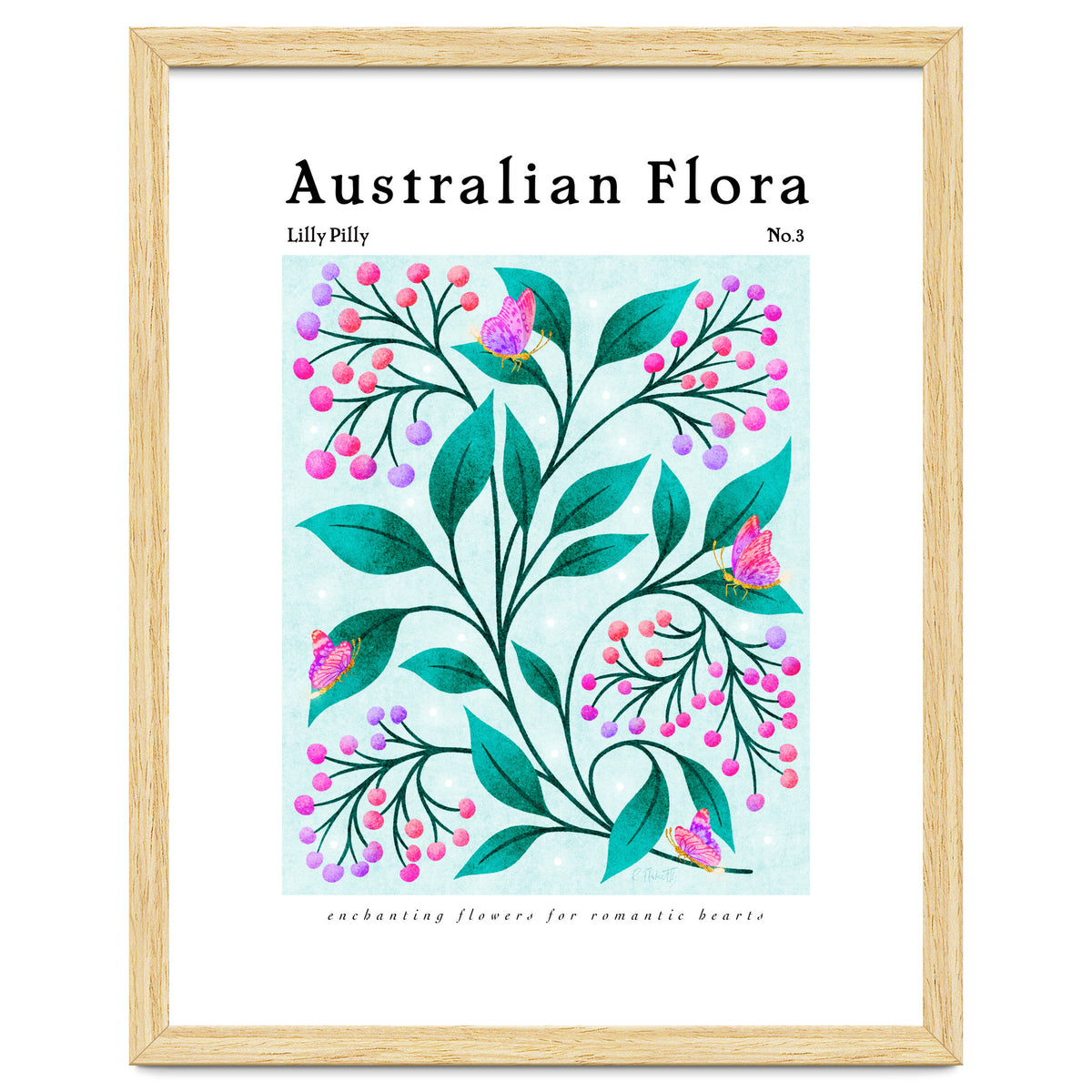 Australian Flora: Lilly Pilly