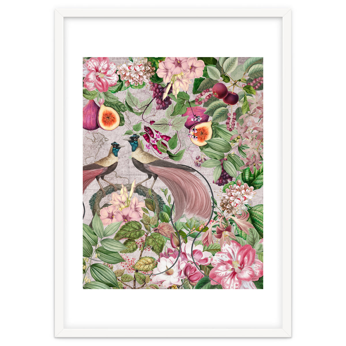 Vintage Birds Of Paradise Jungle