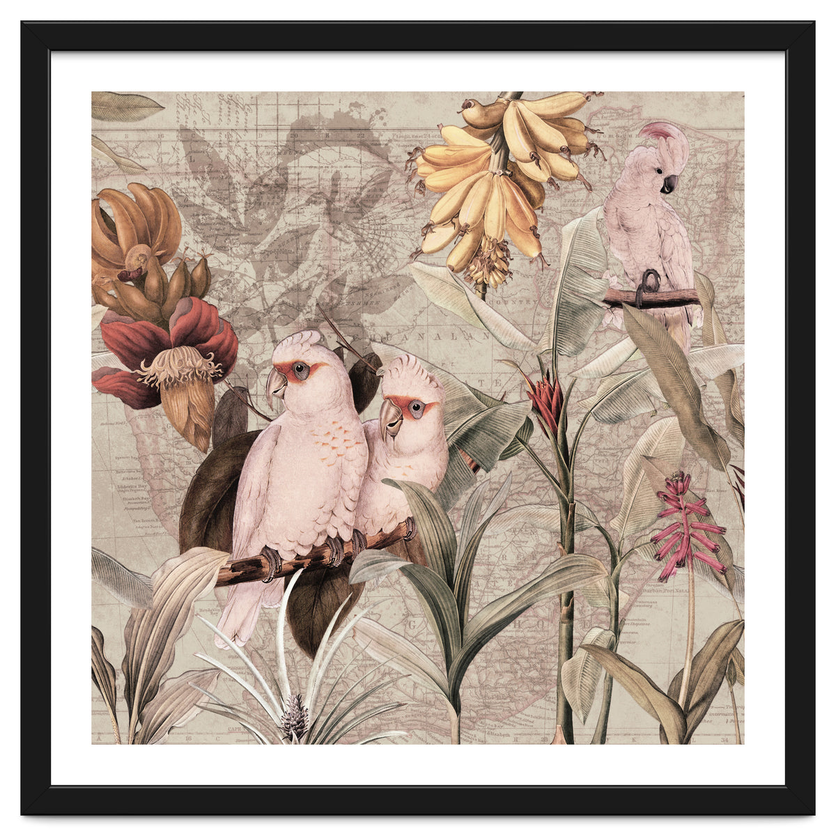 Cockatoo Exotic Bird Jungle