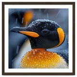 King Penguin Close Up In Snowfall thumbnail