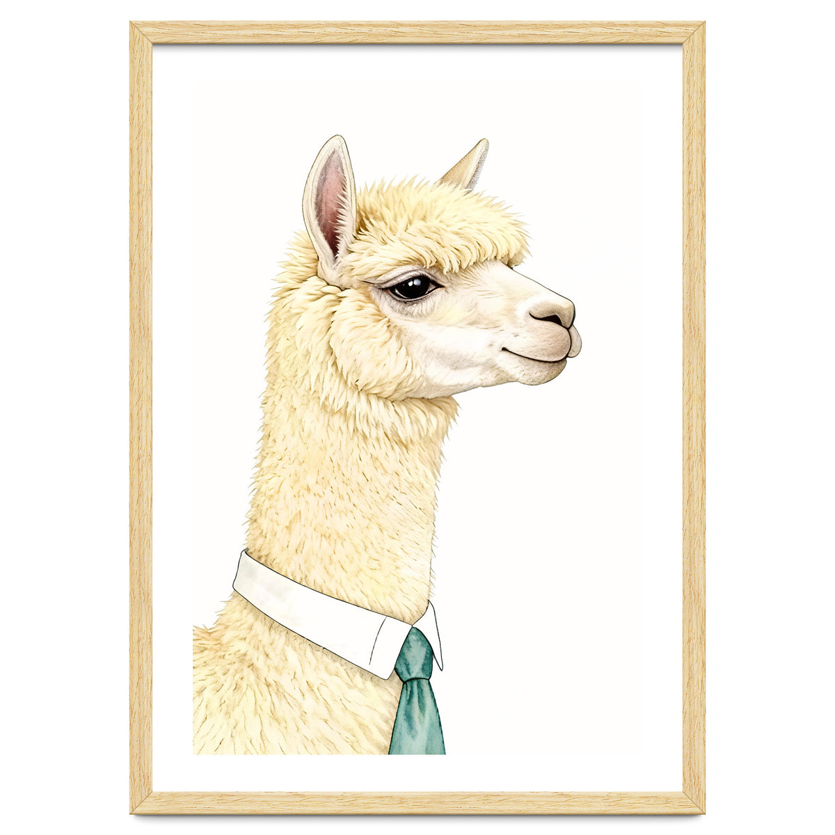 Alpaca