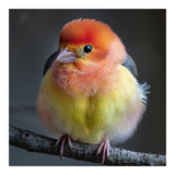 Beautiful Bird With Vibrant Orange And Yellow Plumage (Print Only) thumbnail