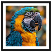 Blue And Yellow Macaw Parrot Close Up Portrait